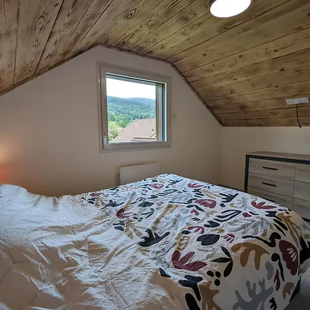 Maison Neuve Avec Spa, Sauna, Terrasse Proche Des Lacs Et Pistes De Ski De Gerardmer Et La Bresse - Fr-1-589-648