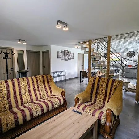 Vakantiehuis Maison Neuve Avec Spa, Sauna, Terrasse Proche Des Lacs Et Pistes De Ski De Gerardmer Et La Bresse - Fr-1-589-648